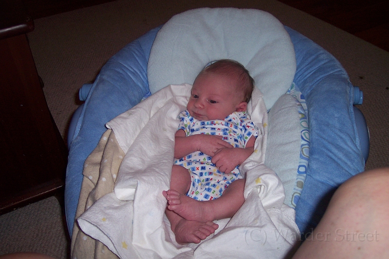 William's Second Week 24.jpg